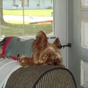 Meet your Posher, Rebecca